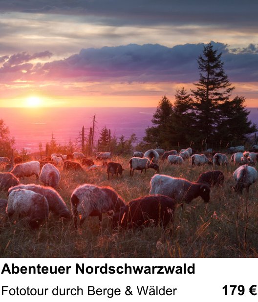 Praxisnaher Fotokurs zu Abenteuer Nordschwarzwald: Fototour durch Berge & Wälder