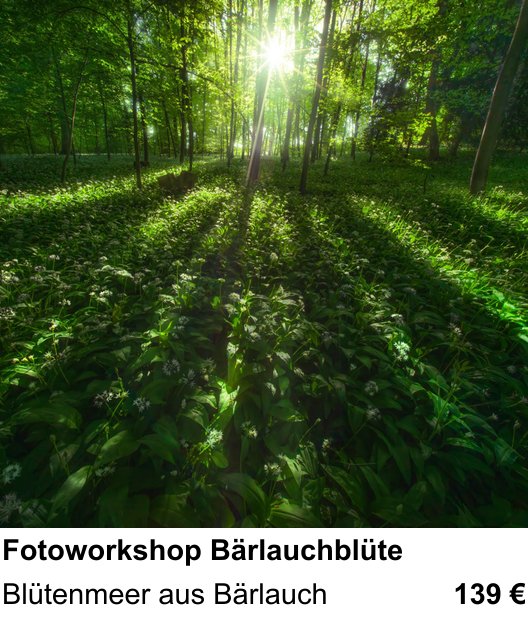 Praxisnaher Fotokurs zu Fotoworkshop Bärlauchblüte: Blütenmeer aus Bärlauch