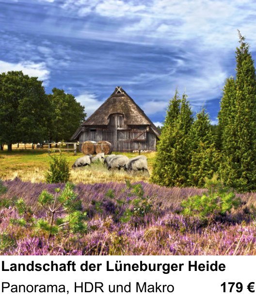 Praxisnaher Fotokurs zu Landschaft der Lüneburger Heide: Panorama, HDR und Makro