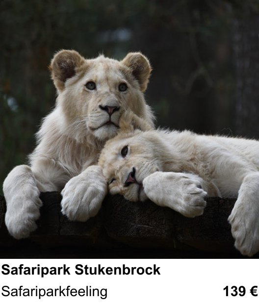 Praxisnaher Fotokurs zu Safaripark Stukenbrock: Safariparkfeeling