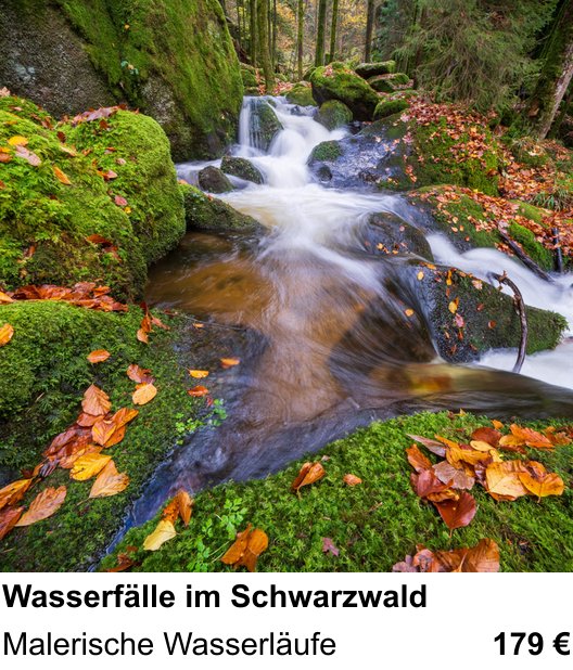 Praxisnaher Fotokurs zu Wasserfälle im Schwarzwald: Malerische Wasserläufe