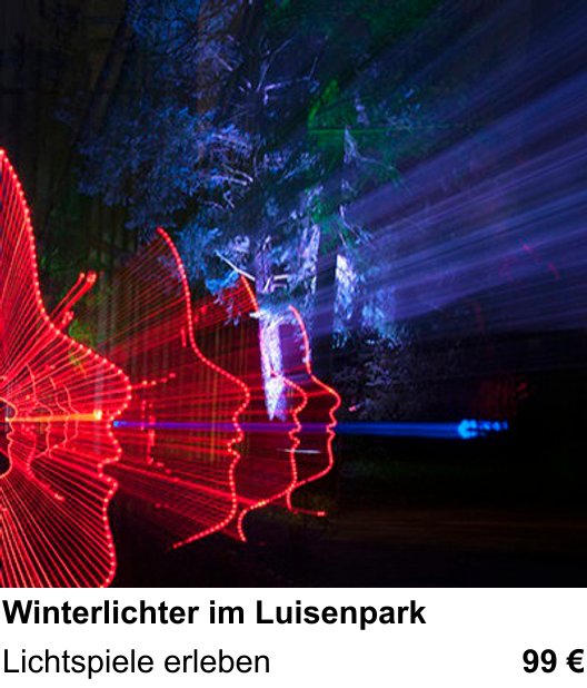 Praxisnaher Fotokurs zu Winterlichter im Luisenpark: Lichtspiele erleben