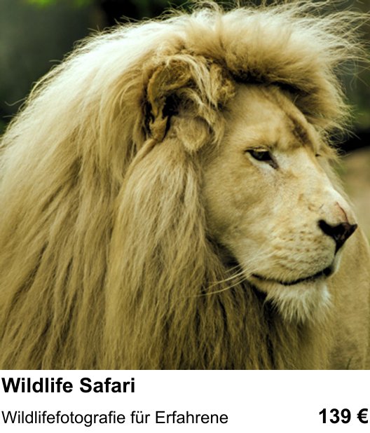 Wildlife Safari in Augsburg: Wildlifefotografie für Erfahrene